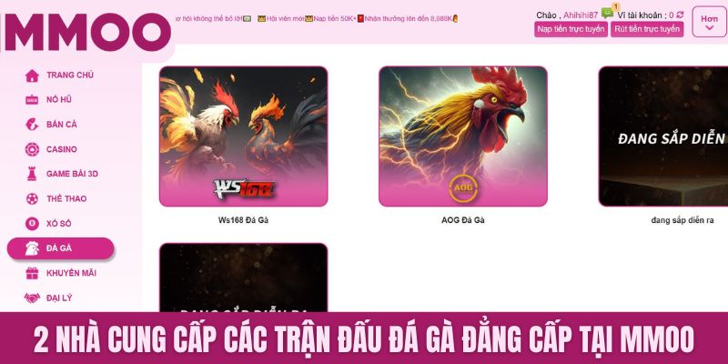 2 nhà cung cấp các trận đấu đá gà đẳng cấp tại MMOO