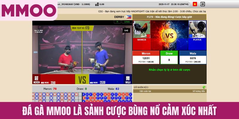 Đá gà MMOO là sảnh cược bùng nổ cảm xúc nhất