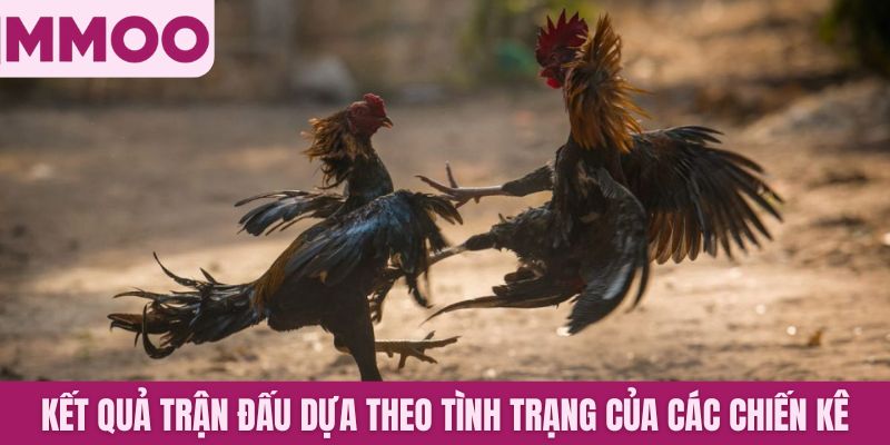 Kết quả trận đấu dựa theo tình trạng của các chiến kê
