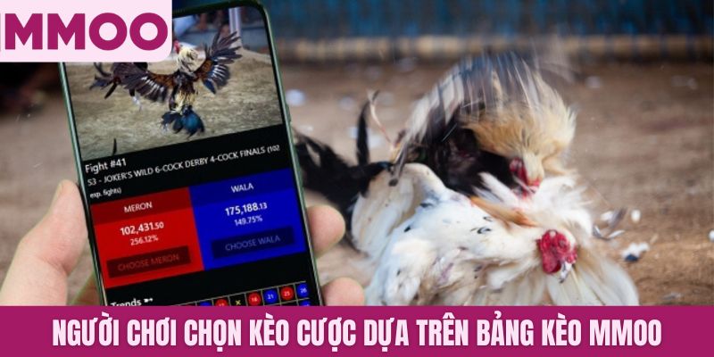 Người chơi chọn kèo cược dựa trên bảng kèo MMOO cung cấp