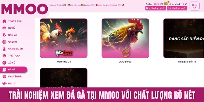 Trải nghiệm xem đá gà tại MMOO với chất lượng rõ nét